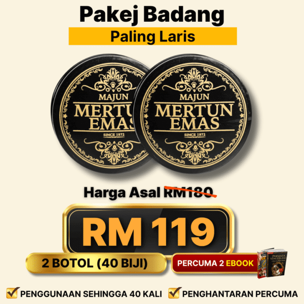 PAKEJ BADANG - 2B
